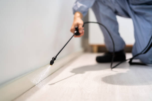 Licensed Pest Control service in St. Georges, DE - Show Me Pest Control
