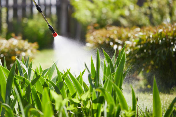 24/7 Emergency Wasp Removal experts in St. Georges, DE
