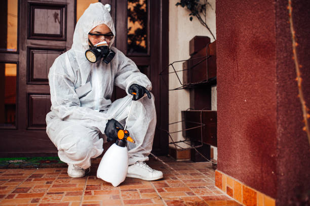 Reliable Wasp Removal contractor in St. Georges, DE by Show Me Pest Control